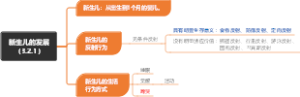 新生儿的发展（3.2.1）