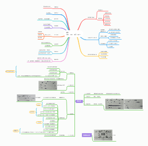 复盘思维导图