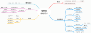 植物的结构层次