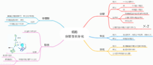 细胞分裂生长分化
