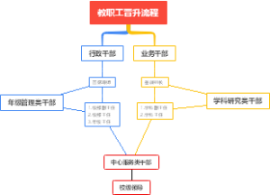 教职工晋升流程