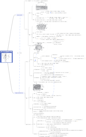 医学免疫学——第3章 免疫器官和组织