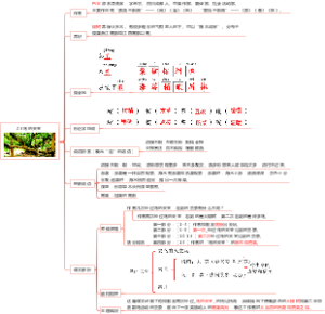 部编版小学语文五年级上册 课文 23 鸟的天堂