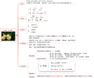 部编版小学语文五年级上册 课文 27 我的“长生果”