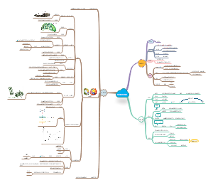 细胞的结构（总）