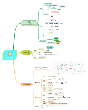 高中生物：光与光合作用