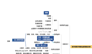 传统发酵技术的应用