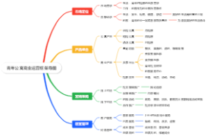 青年公寓商业运营框架导图