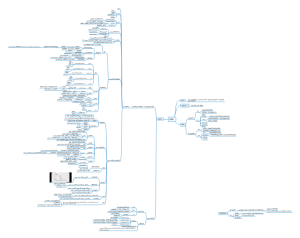 初识MySQL