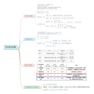 贫血其他检查