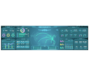 某国际机场运营分析平台（文字版）