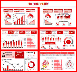 客户洞察PPT模板(文字版)