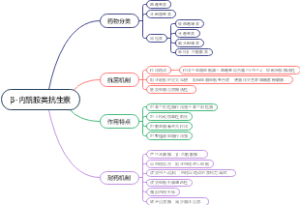 28.β-内酰胺类抗生素（青霉素、头孢菌素）