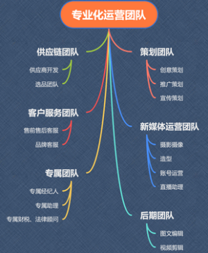 专业化运营团队