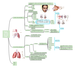 呼吸系统脑图