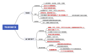 弯曲菌和螺杆菌