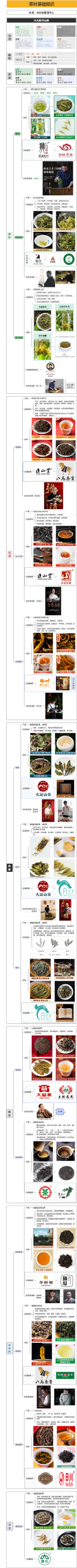 茶叶基础知识