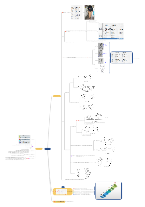 运动疗法技术学-Brunnstrom疗法