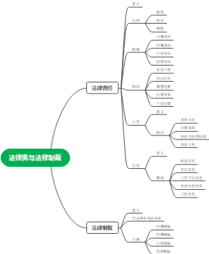 法理学-法律责任与法律制裁