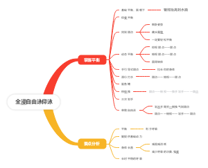 全浸自由泳仰泳