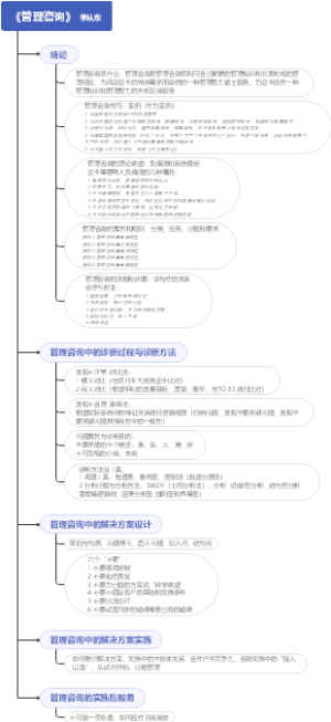 管理咨询 李从东