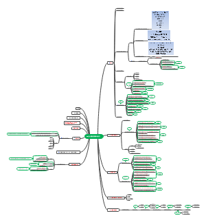 企业流程管理课件复习