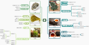 茶