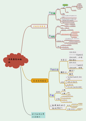 《医学免疫学》第二章免疫器官和组织