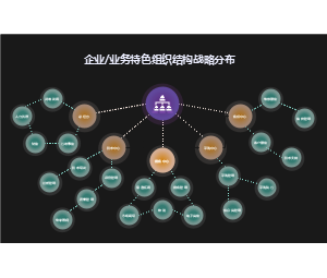 企业或业务特色组织结构战略分布