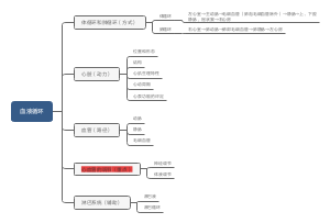 循环系统