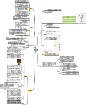 怎么从专业角度进行电影欣赏？