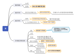 高中生物必修一酶