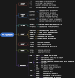 MCN公司架构