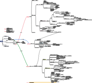 ORB-SLAM2程序导图侯翊良
