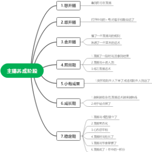 实体店主播修炼顺序