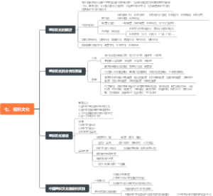 组织行为学（马工程）-七、组织文化