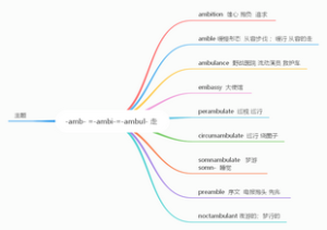 -amb- =-ambi-=-ambul- 走