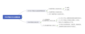 DNA甲基化与心血管疾病 2009 
