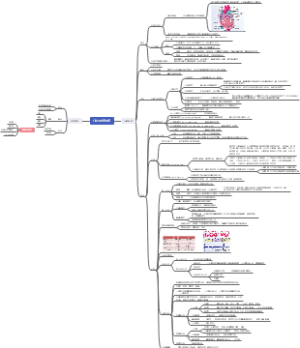 心脏及血管检查