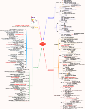《系统之美》读书笔记
