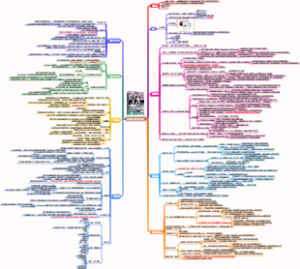 《贪婪的多巴胺》读书笔记