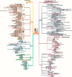 《精准努力》读书笔记