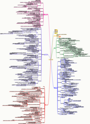 《因为独特》读书笔记