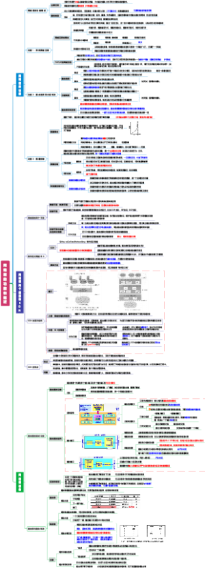 CN-4 网络层