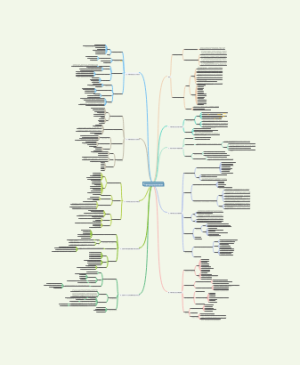 中国特色社会主义理论与实践研究