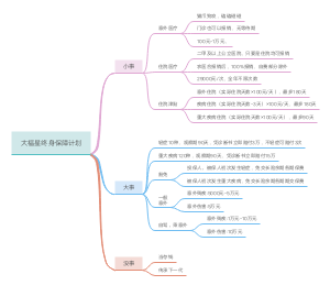 嫂子的终身保障计划
