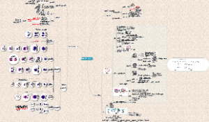 组织学05血液