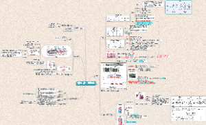 组织学06肌组织