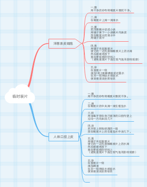 临时装片