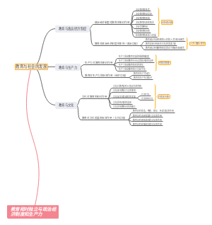 教育与政治、生产力、文化的关系